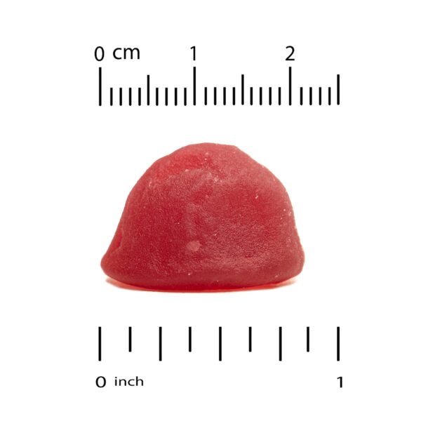 Gummiology Vitamin B12 Gummies - Raspberry 90 Gummies